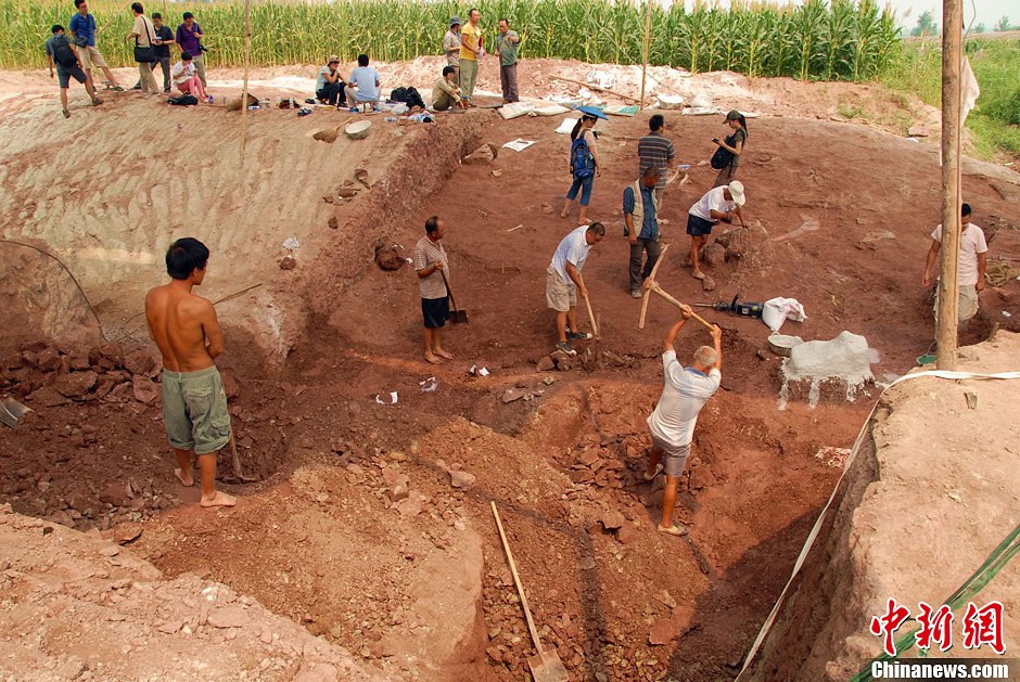 恐龍化石發(fā)掘現(xiàn)場(chǎng)。