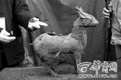 一件似羊似鹿的犧尊華麗亮相，可愛(ài)的造型“萌翻”現(xiàn)場(chǎng)。