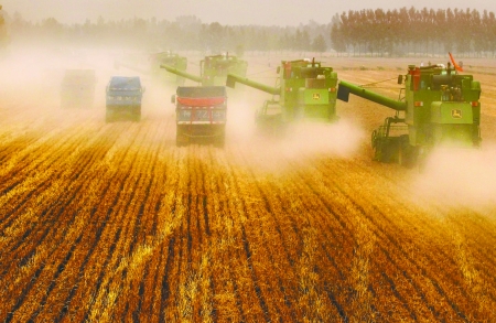 田里，一臺(tái)臺(tái)收割機(jī)唱著豐收歌。