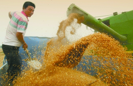 心情喜悅麥龍舞。