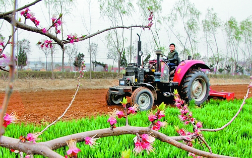 　　3月25日，武陟縣龍?jiān)崔k事處東馬曲村村民正在田里耕作。時(shí)下正值春耕時(shí)節(jié)，武陟農(nóng)民紛紛抓住有利時(shí)機(jī)