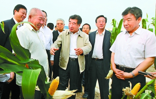 圖為回良玉在鄧州市腰店鄉(xiāng)草寺村視察萬(wàn)畝玉米高產(chǎn)示范方。