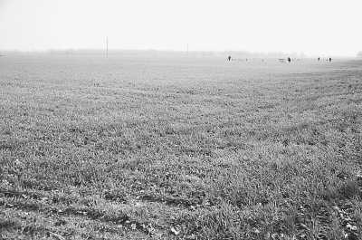 項城市丁集鎮(zhèn)平墳復耕后的農(nóng)田 項城市丁集鎮(zhèn)平墳復耕后的農(nóng)田