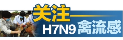 關注H7N9禽流感 關注H7N9禽流感