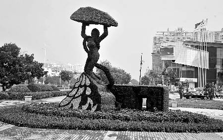 8月28日，南陽街頭繁花似錦，市民宛若行走在花海之中。
