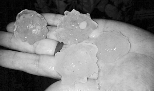 昨天凌晨，三門峽下起了冰雹，最大直徑近1厘米 微博截圖