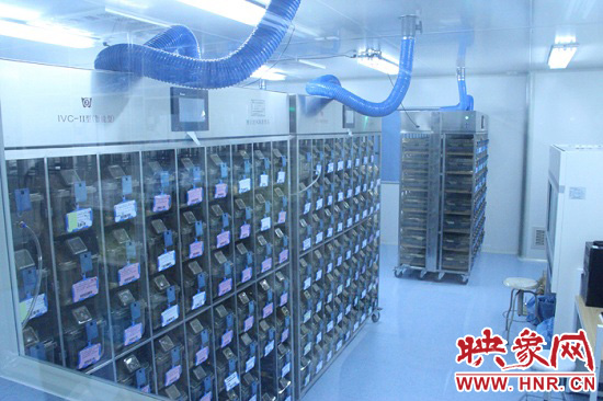 “鼠村”里每一個籠子是一家?！按濉崩镒≈?萬只左右的小鼠