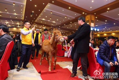 江蘇一公司奇葩年會：當場領(lǐng)牲畜