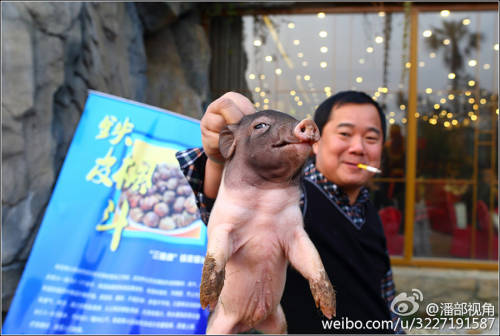 江蘇一公司奇葩年會：當場領(lǐng)牲畜