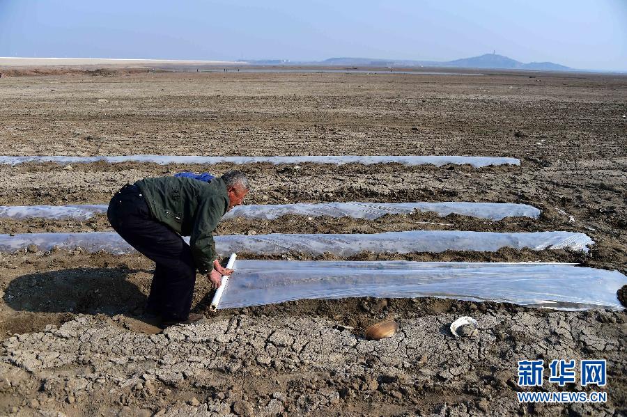 山東旱情 274座水庫(kù)干涸157條河道斷流 山東旱情 274座水庫(kù)干涸157條河道斷流