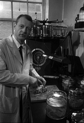 愛因斯坦大腦切片 愛因斯坦大腦切片