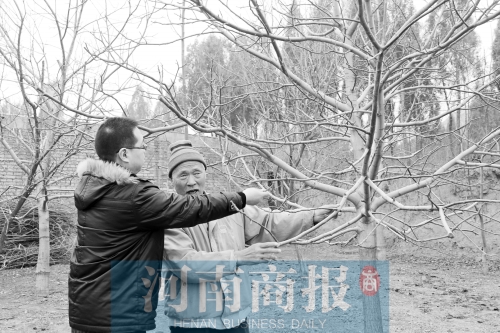 老人領(lǐng)著來訪者來看他親手種的樹,他雖然眼睛看不見,但能用手摸到樹的成長 記者 唐韜/攝 老人領(lǐng)著來訪者來看他親手種的樹,他雖然眼睛看不見,但能用手摸到樹的成長 記者 唐韜/攝