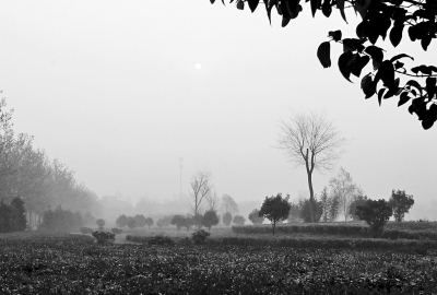 3月26日上午8點(diǎn),鄭大新校區(qū),濃濃的霧霾埋沒(méi)了大好春景。