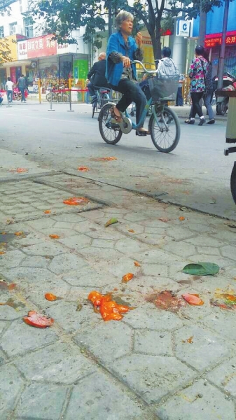 爛了一地的柿子影響市容，還常?；谷恕? width=