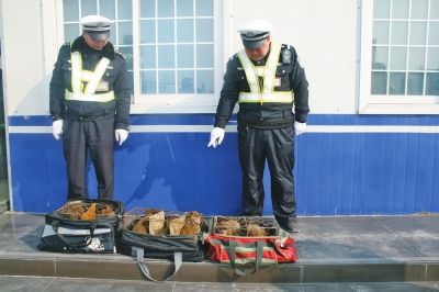 民警查獲的乘客行李包中，裝的全是獼猴。