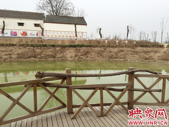 護(hù)欄損毀的地方，已經(jīng)被兩根樹干擋住。