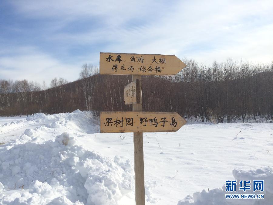 穗豐園里的標(biāo)識(shí)牌（2013年12月8日攝）。新華社記者王子辰攝