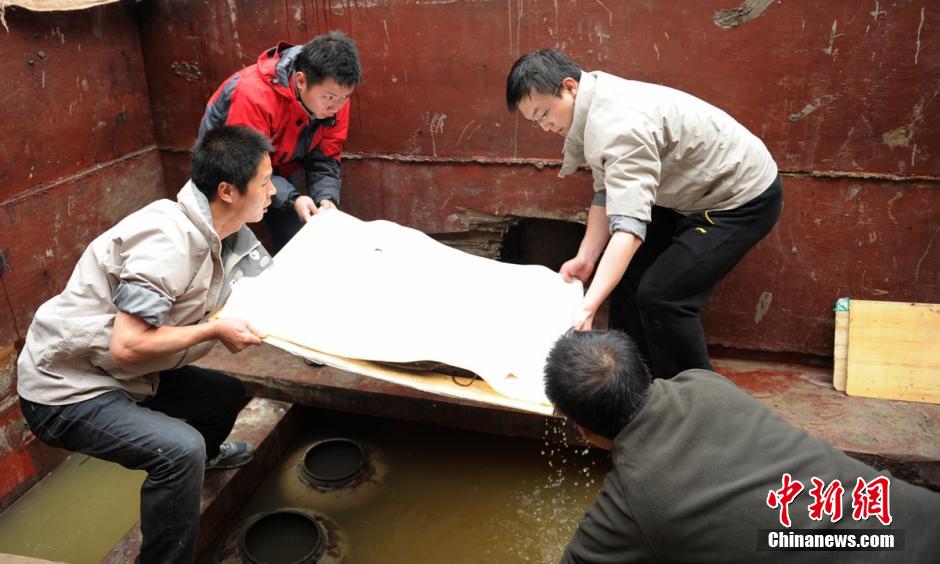 圖為考古現(xiàn)場工作人員小心翼翼將文物取出。