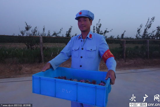 河南一農(nóng)場近百名員工著紅軍裝上班 河南一農(nóng)場近百名員工著紅軍裝上班