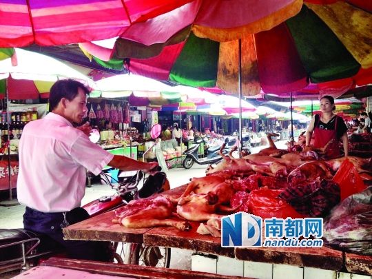  昨日，玉林垌口市場(chǎng)，一位市民在購(gòu)買狗肉。
