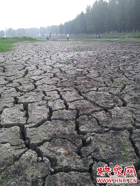 澎河匯入白龜山水庫處，河床已經(jīng)全部干裂，等待丹江水的到來。