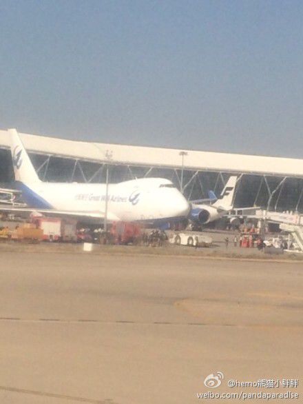 圖說：發(fā)生事故的飛機(jī)。圖片來源：新浪微博網(wǎng)友圖（請(qǐng)私信“新民晚報(bào)新民網(wǎng)”以奉稿酬）