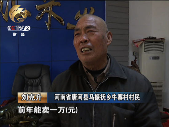 他告訴記者最多的一年曾經(jīng)賣過(guò)一萬(wàn)元錢現(xiàn)在由于種植面積減少收入也下降了很多