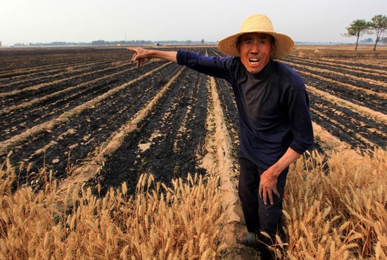 河南省滑縣、內(nèi)黃縣麥田著火，麥壟套種的花生、玉米苗也被烤焦，群眾損失慘重