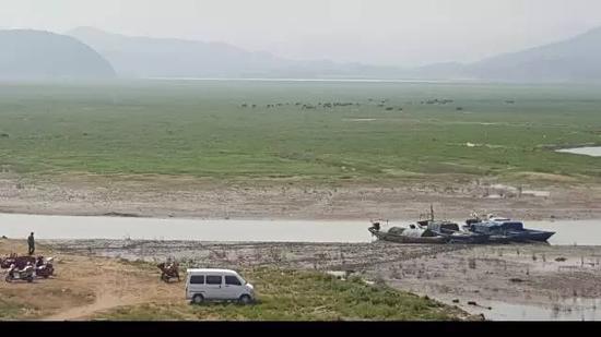 2015年10月27日，“冬季到湖區(qū)看草原”是近年來鄱陽湖生態(tài)濕地興起的旅游項目。江西省星子縣鄱陽湖邊，進入枯水期的鄱陽湖，“草原”風光已經(jīng)取代碧水連天，遠處有牛群吃草。 新華社記者郭雅茹 攝