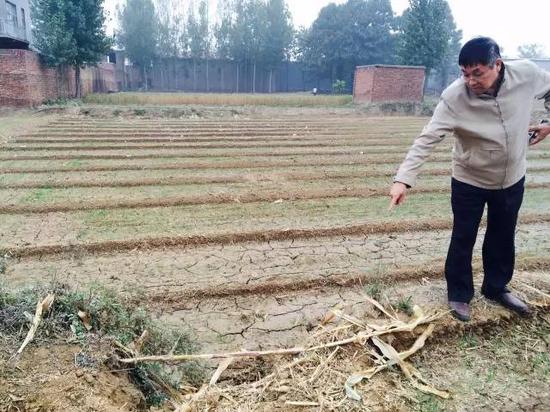 2015年10月20日，河北省柏鄉(xiāng)縣地下水超采區(qū)，地面沉降，大地出現(xiàn)8公里長的裂縫，最寬處有1米寬。農(nóng)民用土填上裂縫，但是一下雨又會塌陷。新華社記者郭雅茹 攝