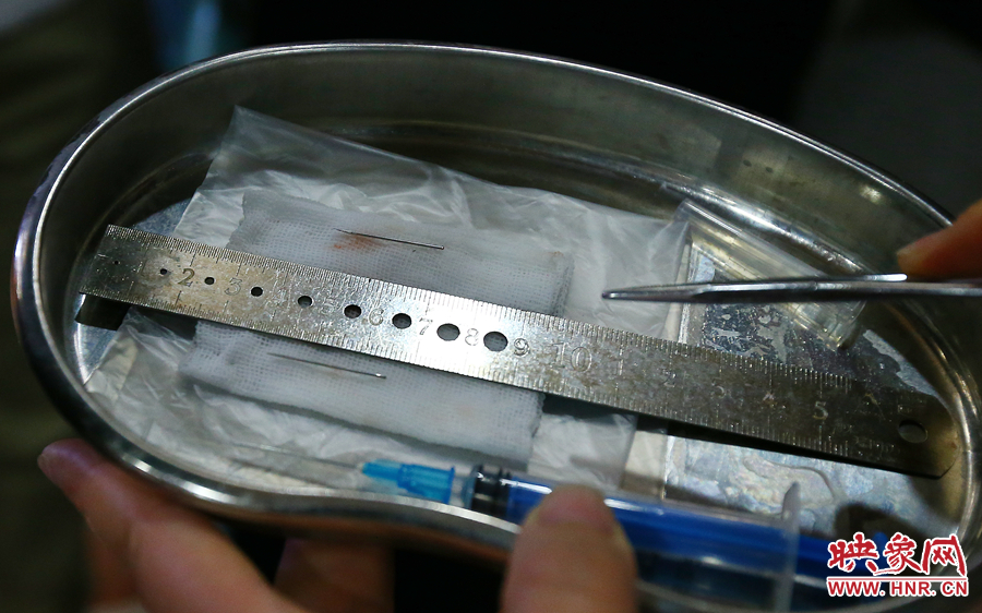 大龍顱內(nèi)取出的鋼針（上）和小龍顱內(nèi)的一樣（下），均為2.5厘米