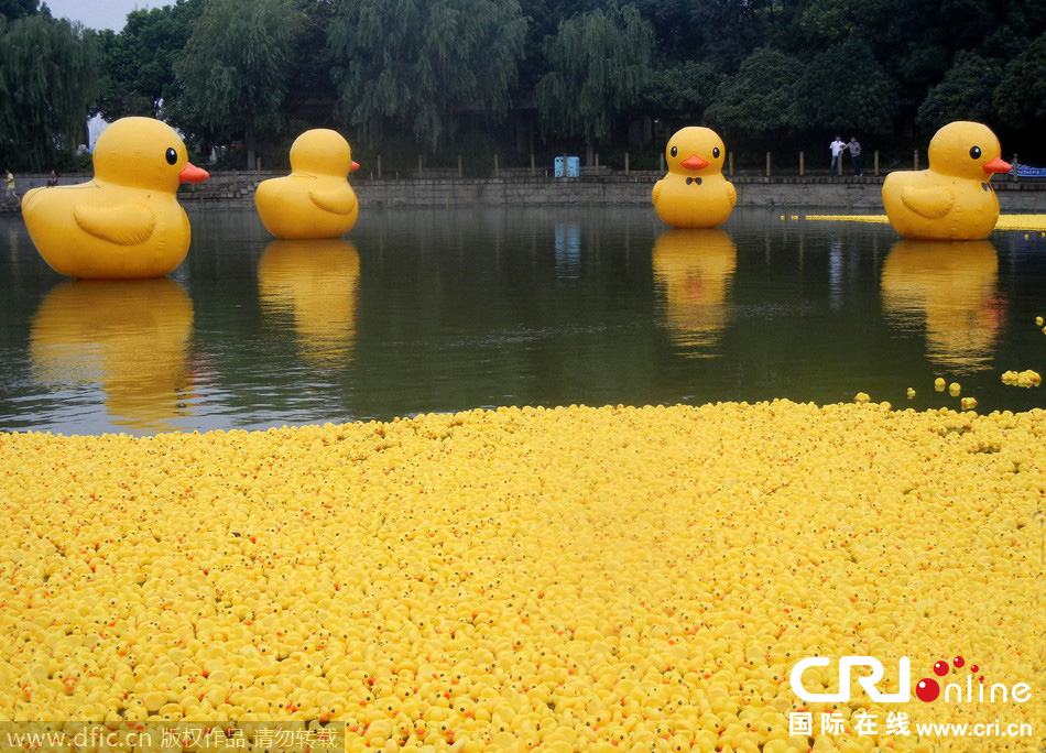 大黃鴨攜3萬(wàn)只“鴨寶寶”集體亮相蘇州 大黃鴨攜3萬(wàn)只“鴨寶寶”集體亮相蘇州