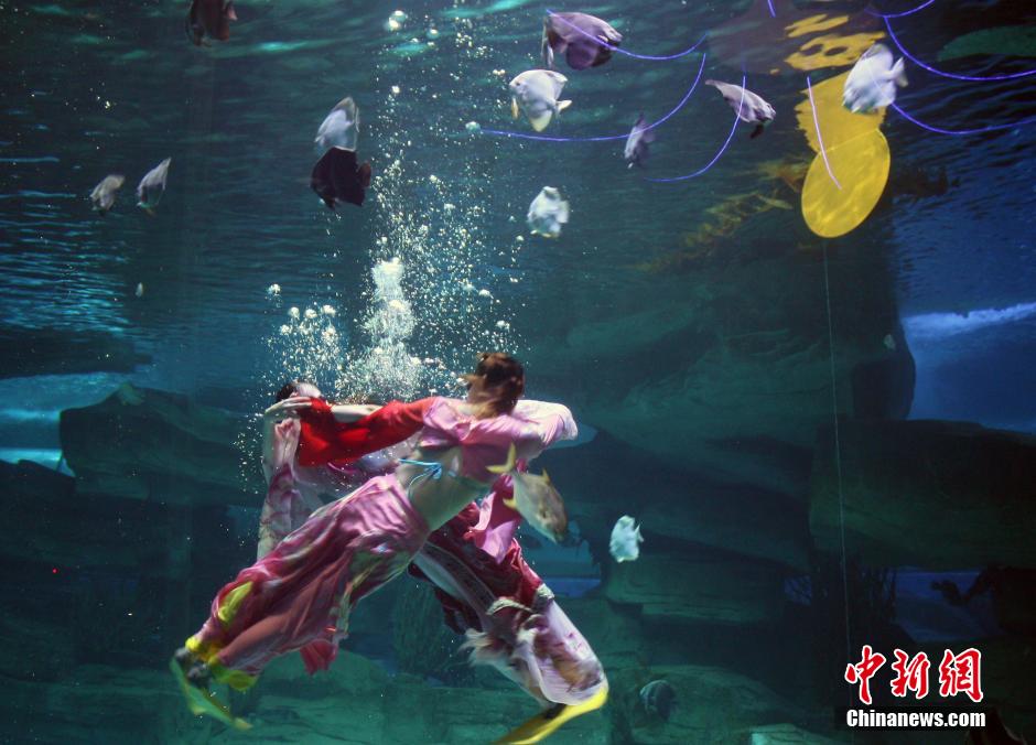 9月7日，在中秋節(jié)到來前一天，山東泉城海洋極地世界為游客帶來“嫦娥水中奔月”表演。