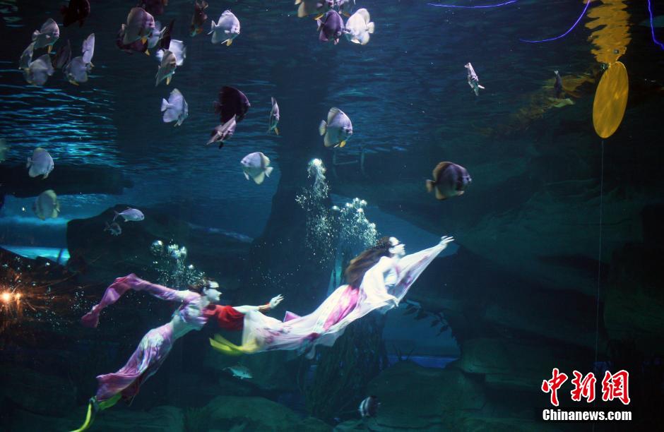 9月7日，在中秋節(jié)到來前一天，山東泉城海洋極地世界為游客帶來“嫦娥水中奔月”表演。