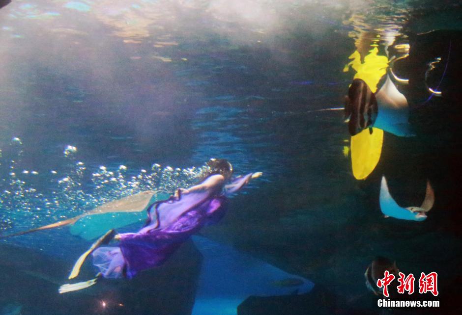 9月7日，在中秋節(jié)到來前一天，山東泉城海洋極地世界為游客帶來“嫦娥水中奔月”表演。