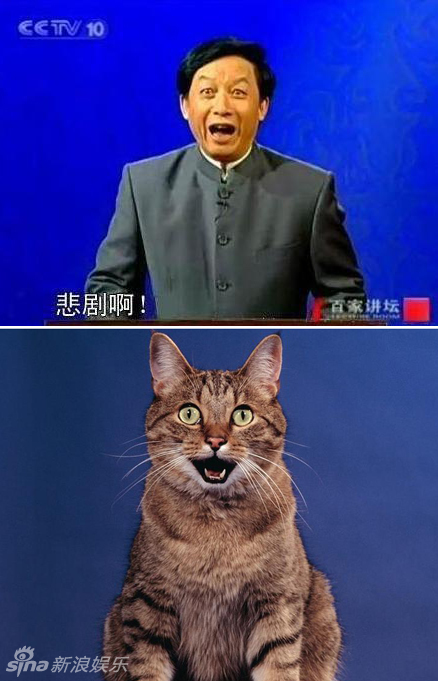 不小心就撞臉了！盤點(diǎn)動(dòng)物界的明星相