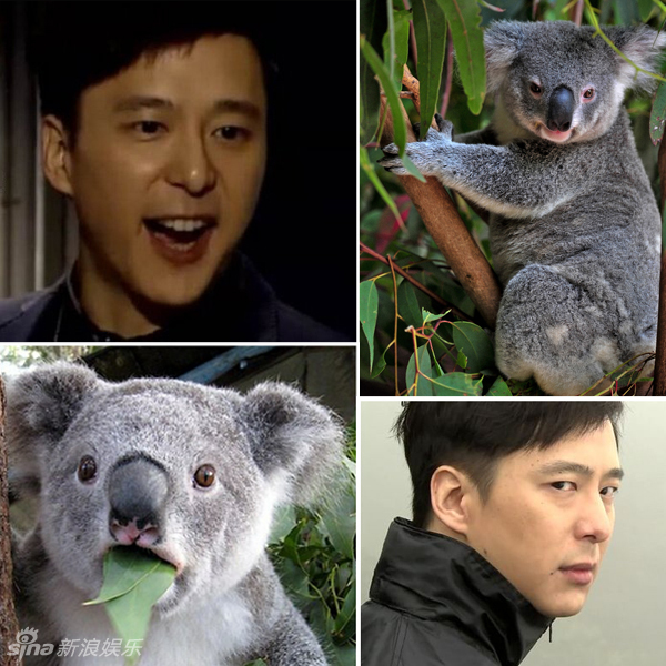 不小心就撞臉了！盤點(diǎn)動(dòng)物界的明星相