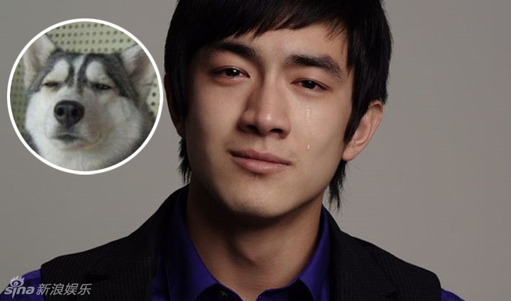 不小心就撞臉了！盤點(diǎn)動(dòng)物界的明星相