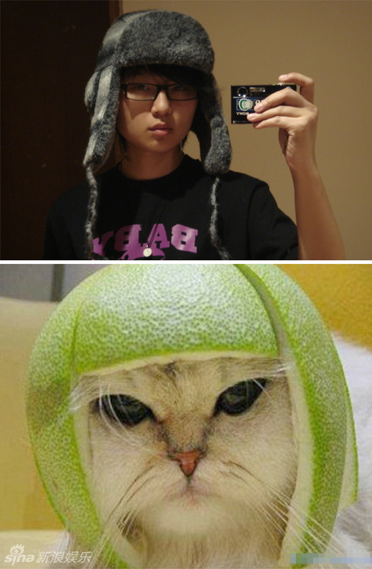 不小心就撞臉了！盤點(diǎn)動(dòng)物界的明星相