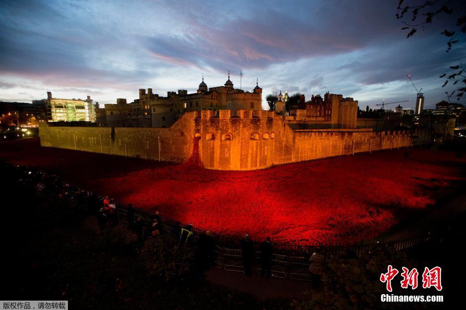 當(dāng)?shù)貢r(shí)間2014年11月10日，英國(guó)倫敦，倫敦塔周邊“種植”了888246朵陶瓷材質(zhì)的罌粟花，以此紀(jì)