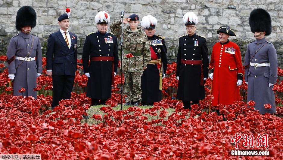 當(dāng)?shù)貢r(shí)間2014年11月10日，英國(guó)倫敦，倫敦塔周邊“種植”了888246朵陶瓷材質(zhì)的罌粟花，以此紀(jì)