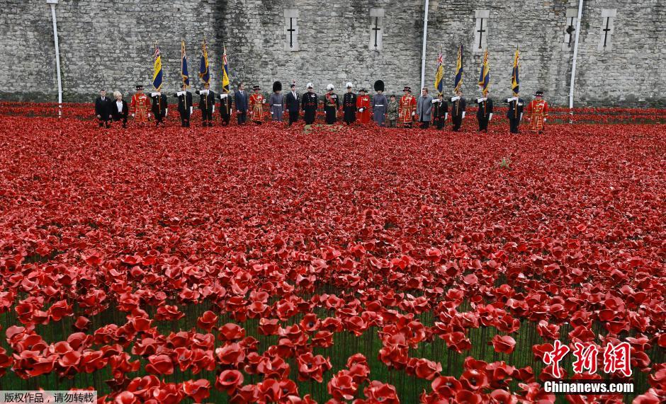 當(dāng)?shù)貢r(shí)間2014年11月10日，英國(guó)倫敦，倫敦塔周邊“種植”了888246朵陶瓷材質(zhì)的罌粟花，以此紀(jì)