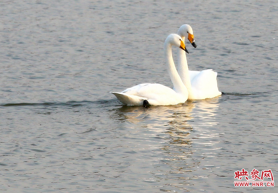快來給我們拍一個合影 快來給我們拍一個合影