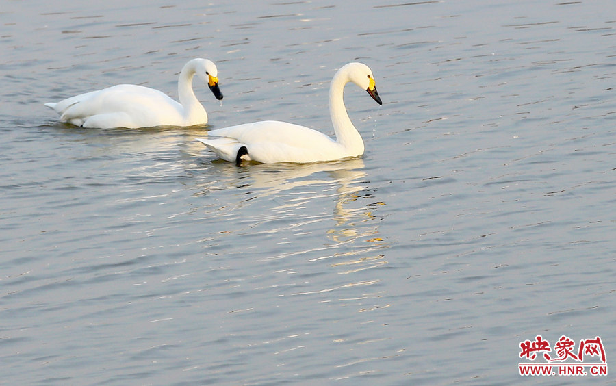 如影相隨 如影相隨