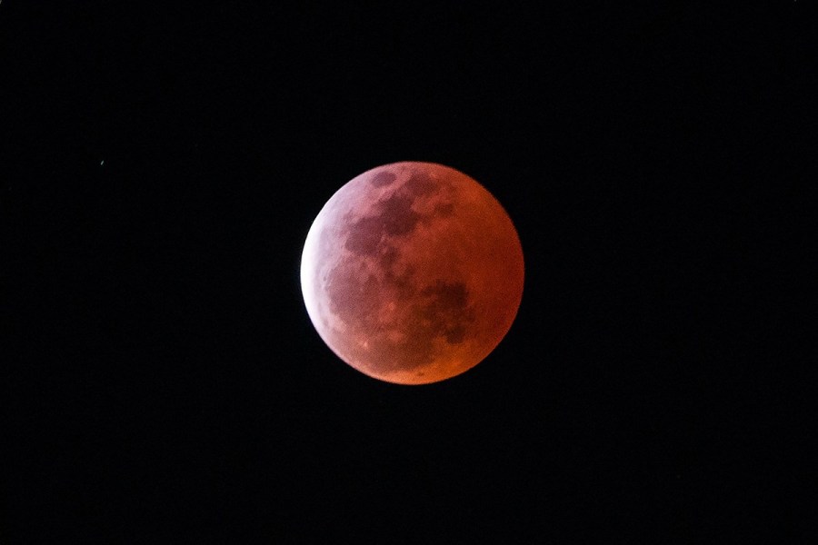 4月4日，福州上空出現(xiàn)紅月亮。楊婀娜/CFP