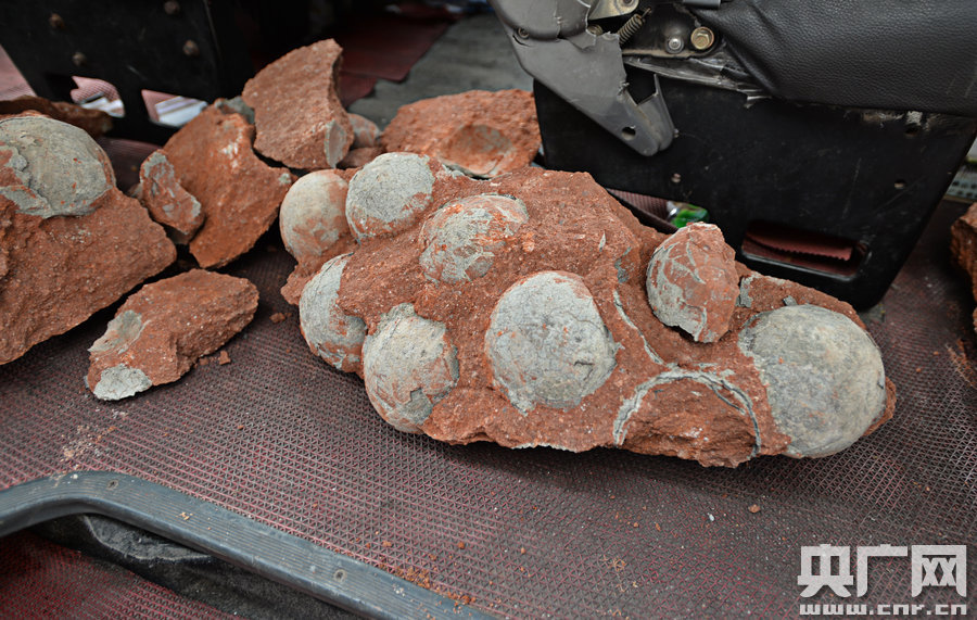 其中完整的19枚，都是直徑約13厘米的“大個(gè)子”。