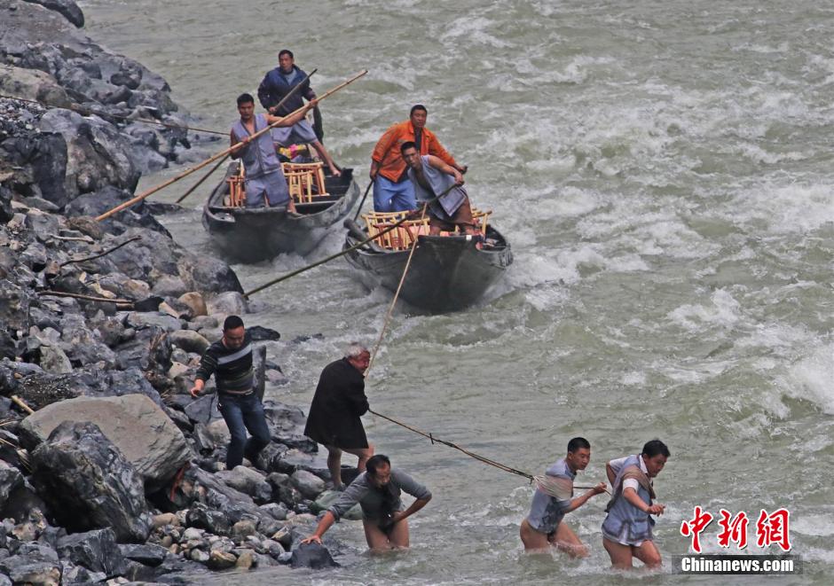 纖夫在神農溪畔牽引木船溯溪而上。