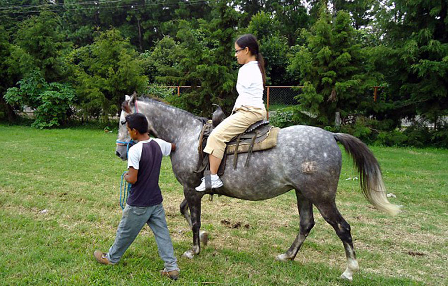 美國(guó)“勵(lì)志姐”天生無(wú)雙臂 用腳開飛機(jī)彈鋼琴 美國(guó)“勵(lì)志姐”天生無(wú)雙臂 用腳開飛機(jī)彈鋼琴