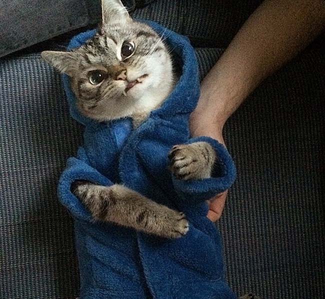 身穿浴袍的Loki好像看起來也沒那么兇哦。