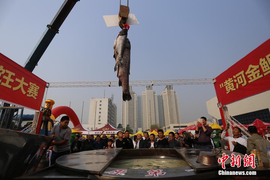 起重機(jī)吊起161.2斤魚王下鍋。 圖片來源：CFP視覺中國